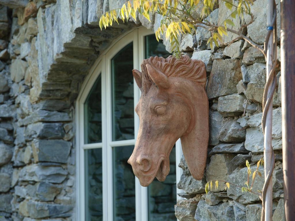 Park Hotel Villa Belvedere Cannobio Exterior foto