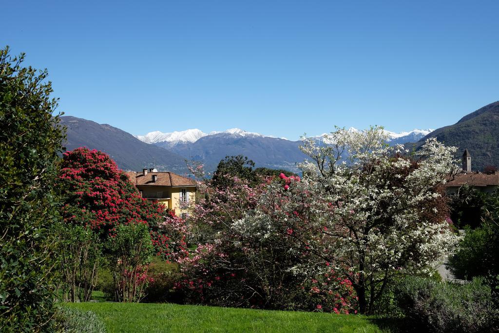 Park Hotel Villa Belvedere Cannobio Exterior foto