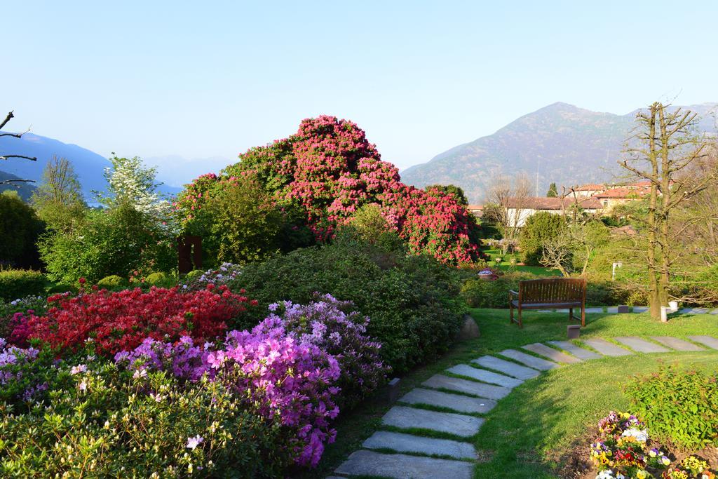 Park Hotel Villa Belvedere Cannobio Exterior foto