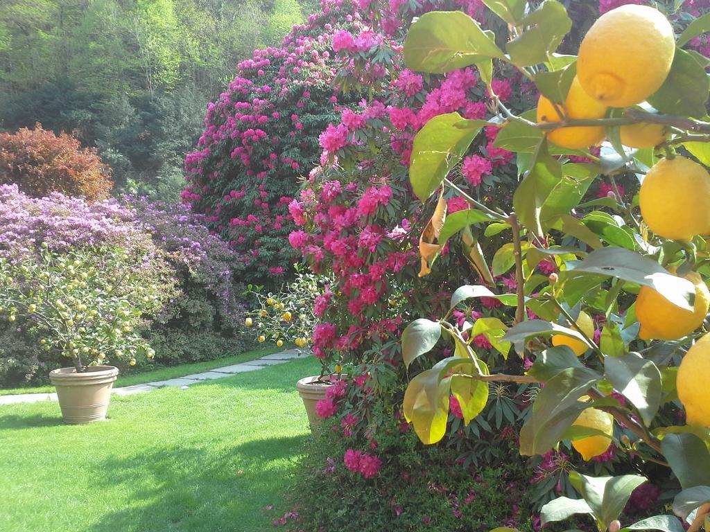 Park Hotel Villa Belvedere Cannobio Exterior foto